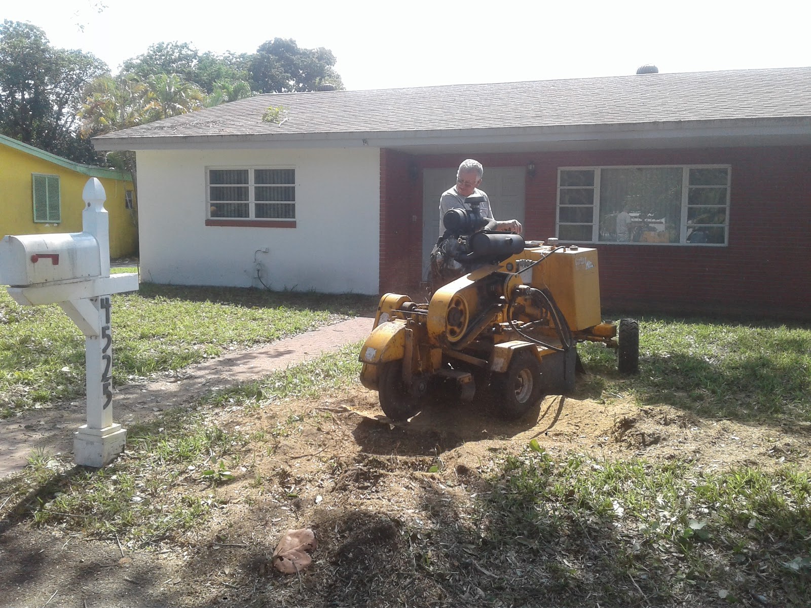 Stump grinder finishing a fresh removal
