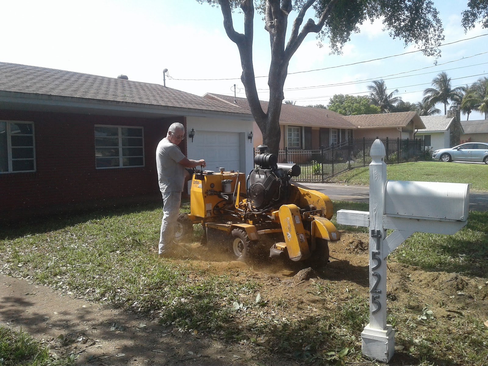 Crew operating a stump grinder curbside