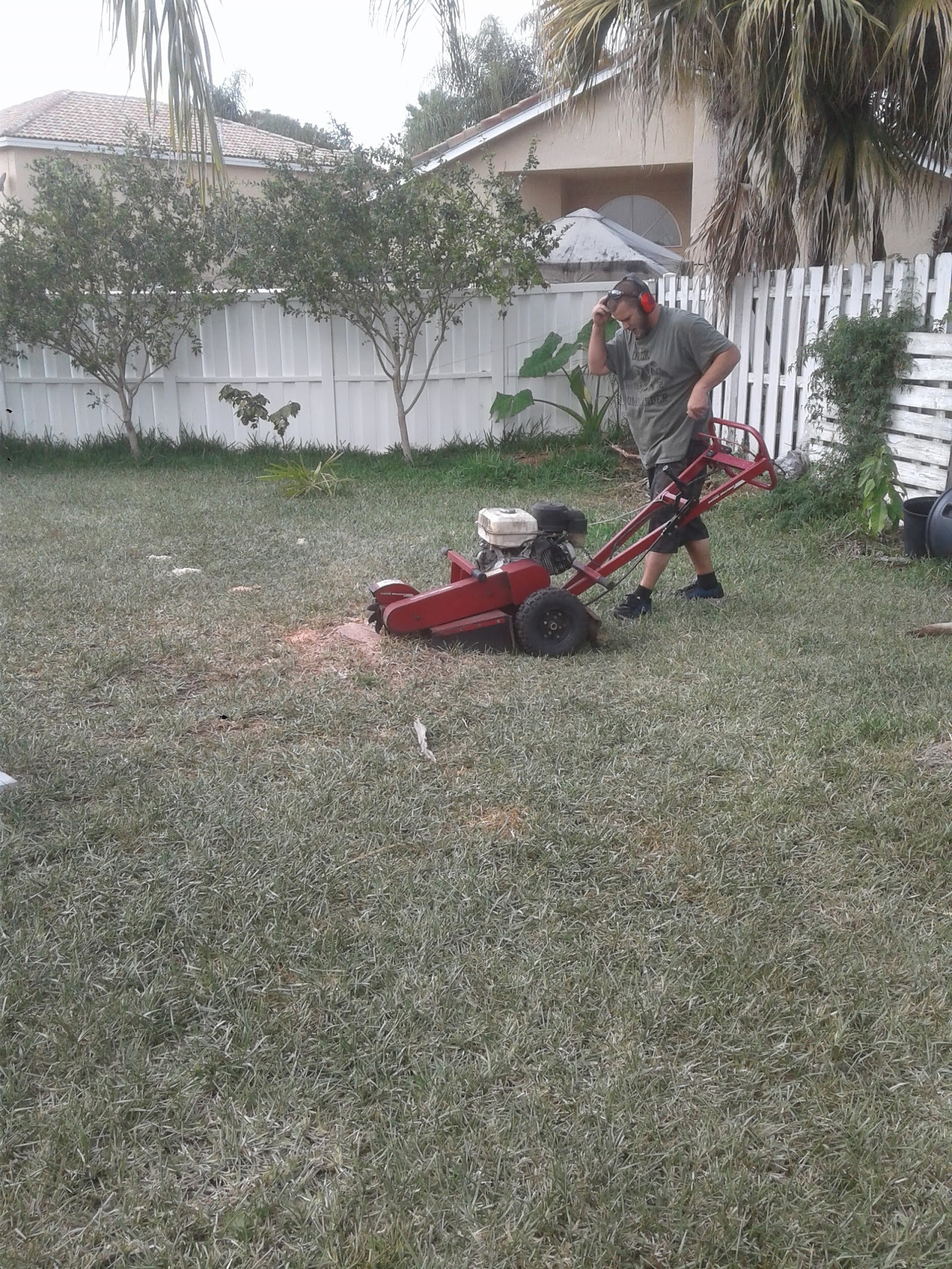Edging around a fresh stump grind
