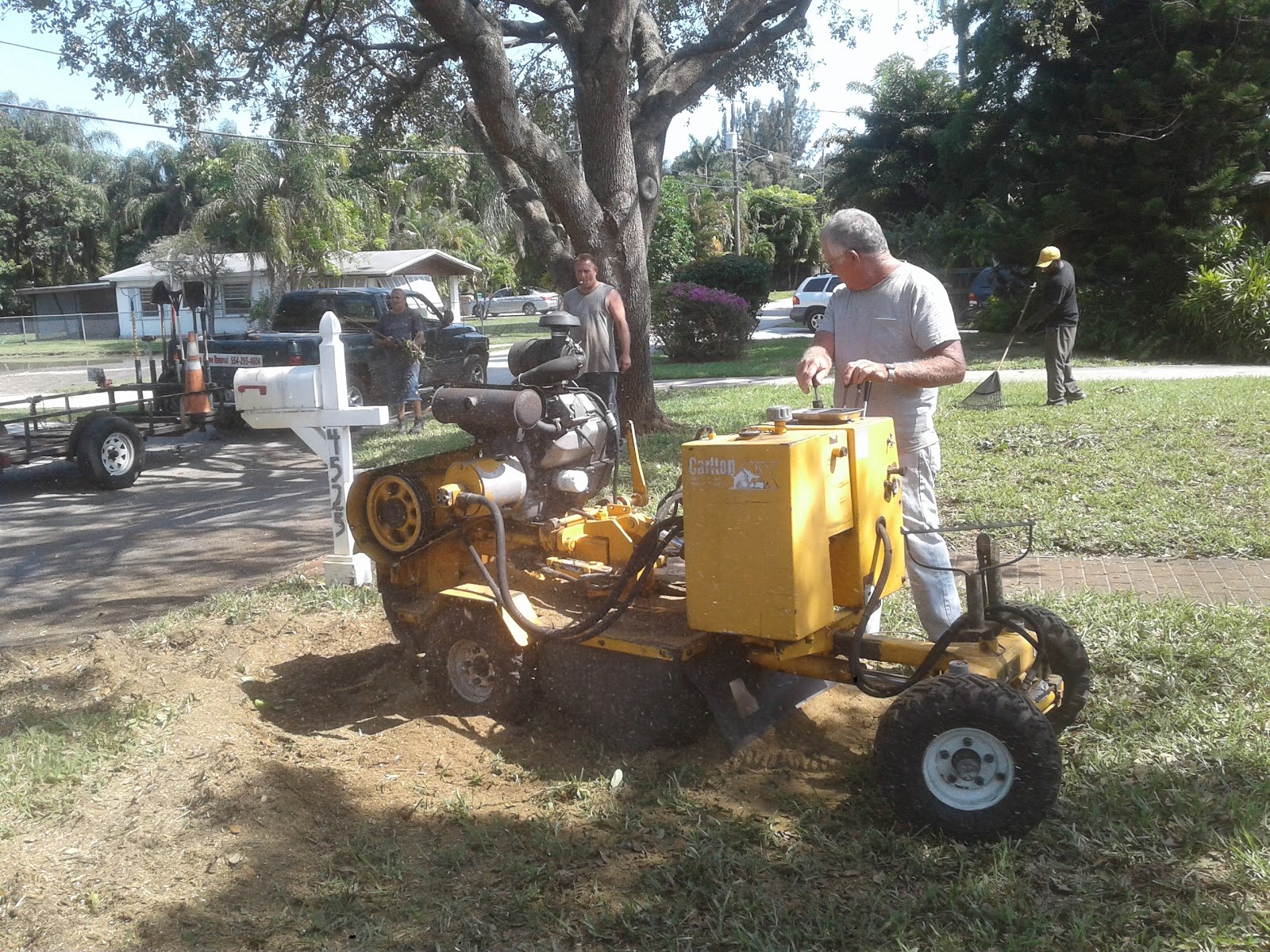 Stump grinder positioned along a fence line