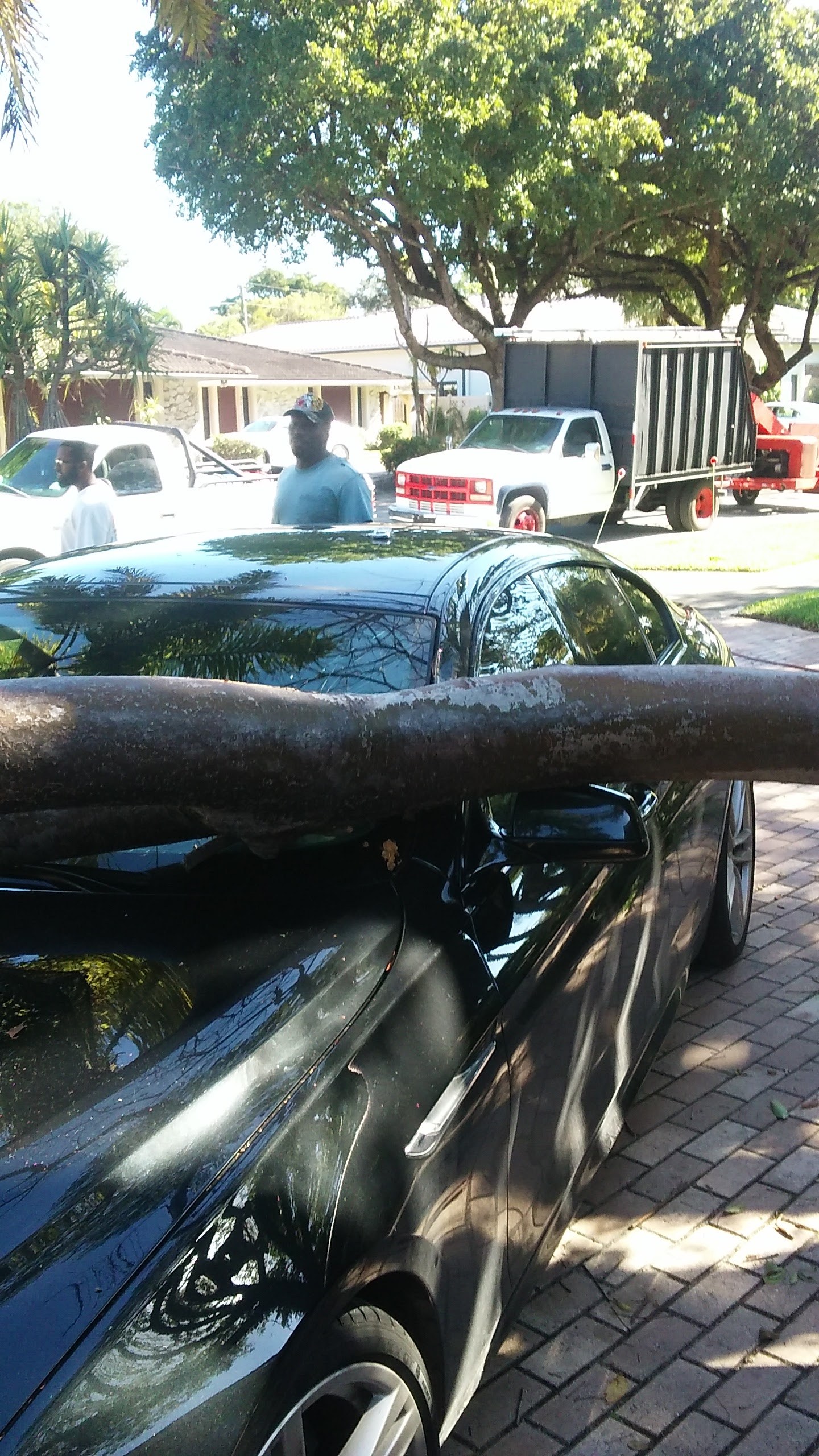 Storm-fallen limb across a car, crew arriving to help