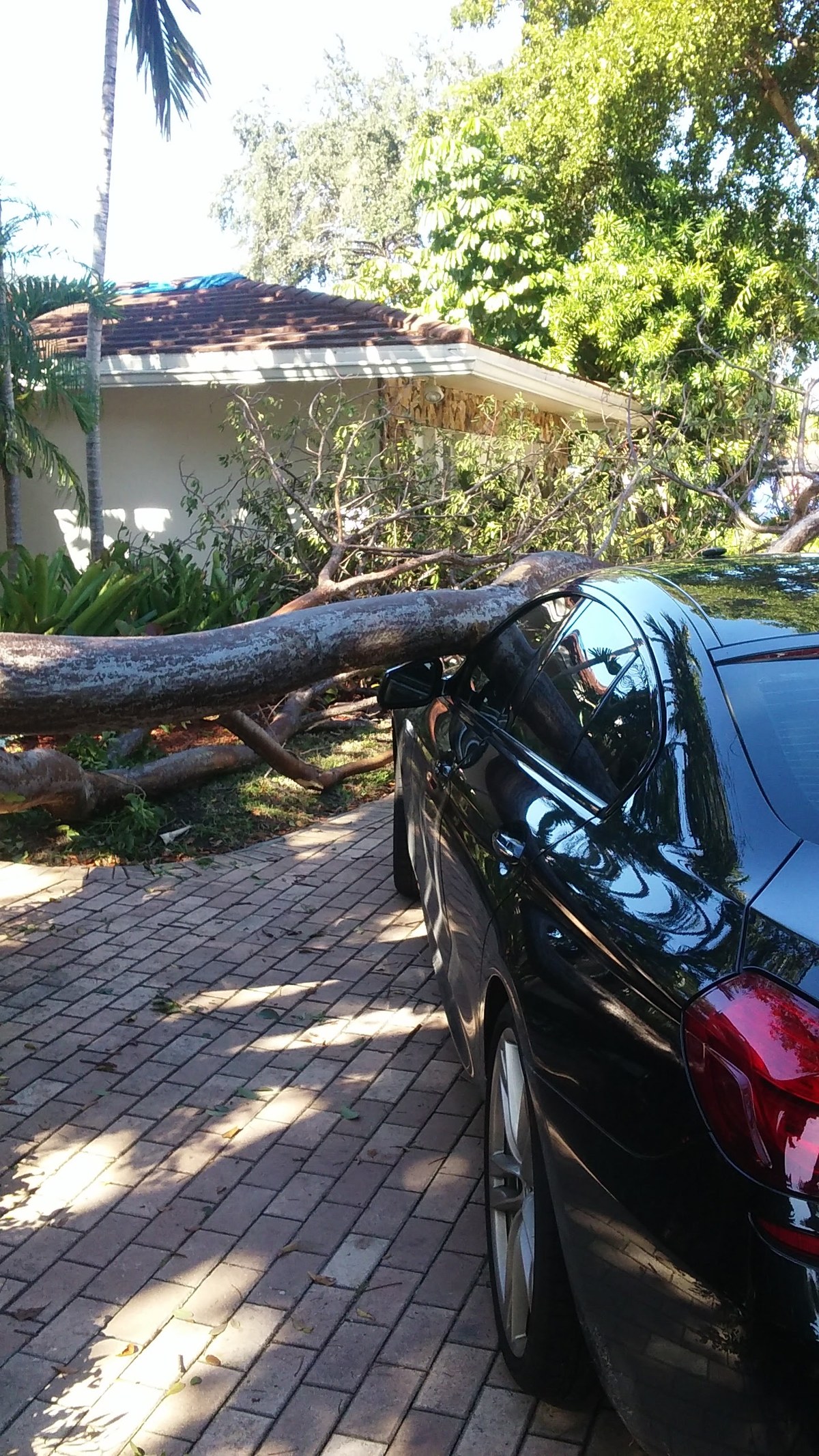 Hurricane Preparation